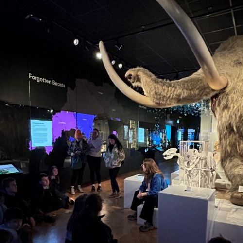 Uncovering the Past at The Box in Plymouth