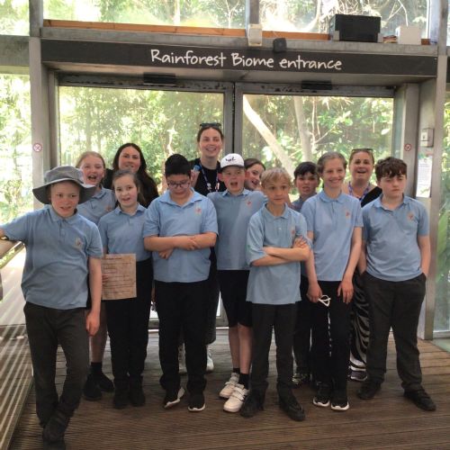 Into the Rainforest: Year 7’s Eden Adventure
