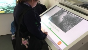 Year 9 Visit Hinkley Point C Nuclear Power Station